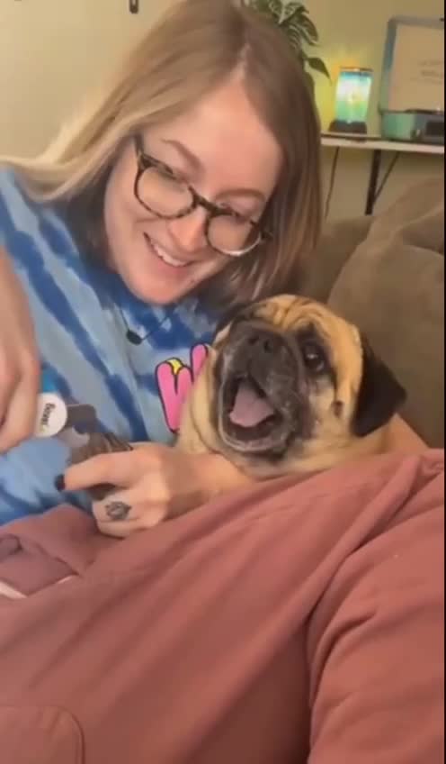 Shorts - Dog And His Nails