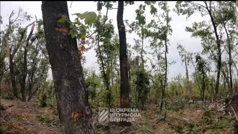 Ukranian Army clearing Russian positions