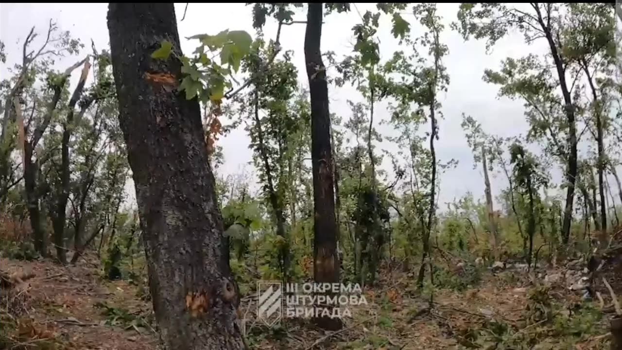 Ukranian Army clearing Russian positions