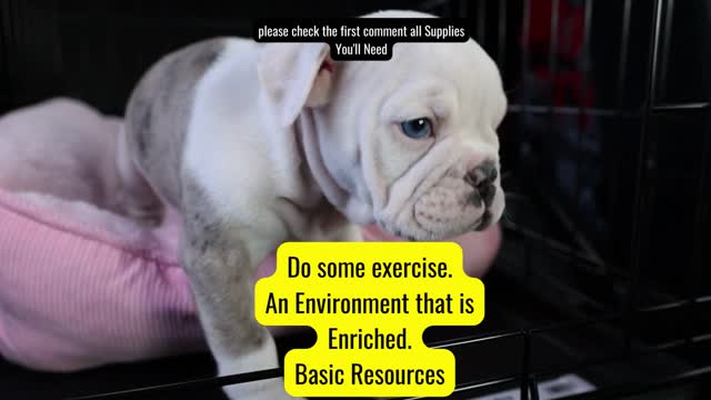 What does it take to raise a dog