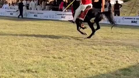 Hourse ridding