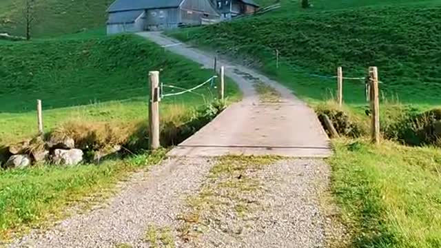 📍#Appenzell 🇨🇭⛰️🍂