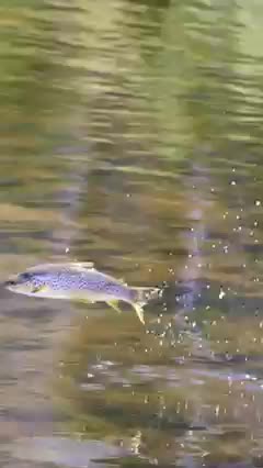 Danger zone Beware no low flying !!!