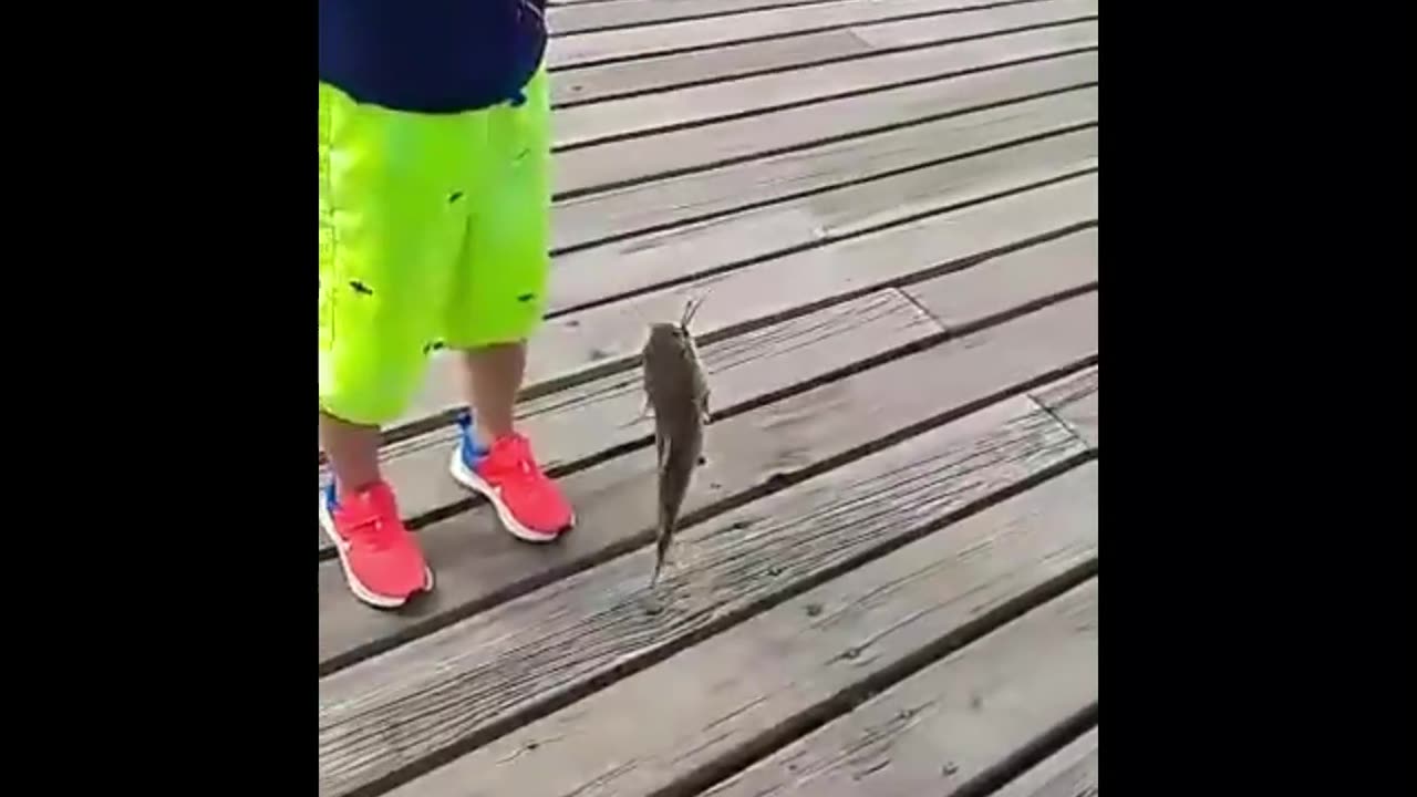 Awesome Catch