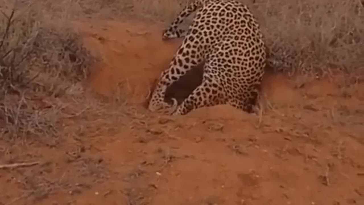Mind your business and keep walking.