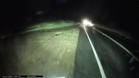 Driver Hits Downed Tree in Road