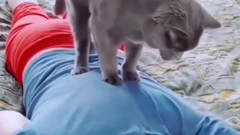 Funny Animals Videos2022 🤣😝 😻-Funniest Cats And Dogs Video