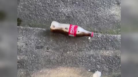 Crushing crunchy & soft things breaking glass bottle