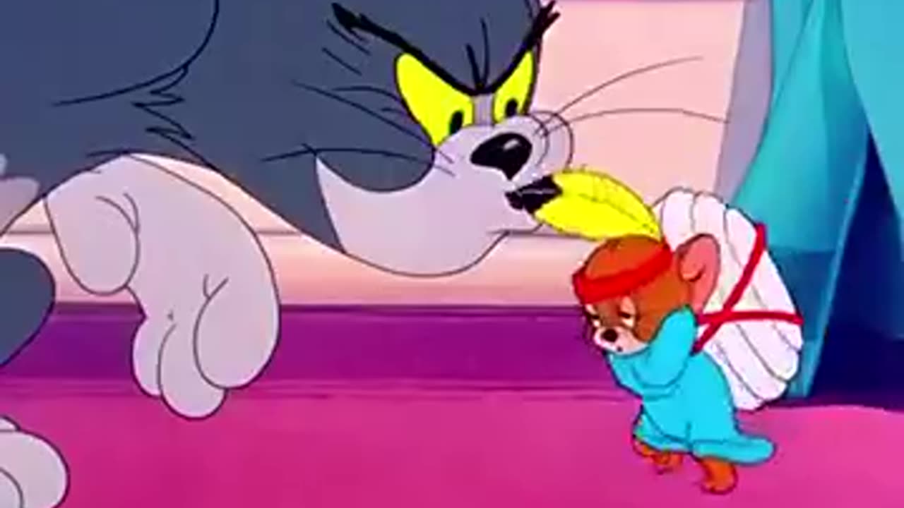 A cat irritate to sparrow.