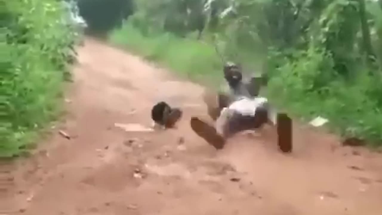 Watch and laugh