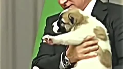 Putin Great leader #putin #russ #russia
