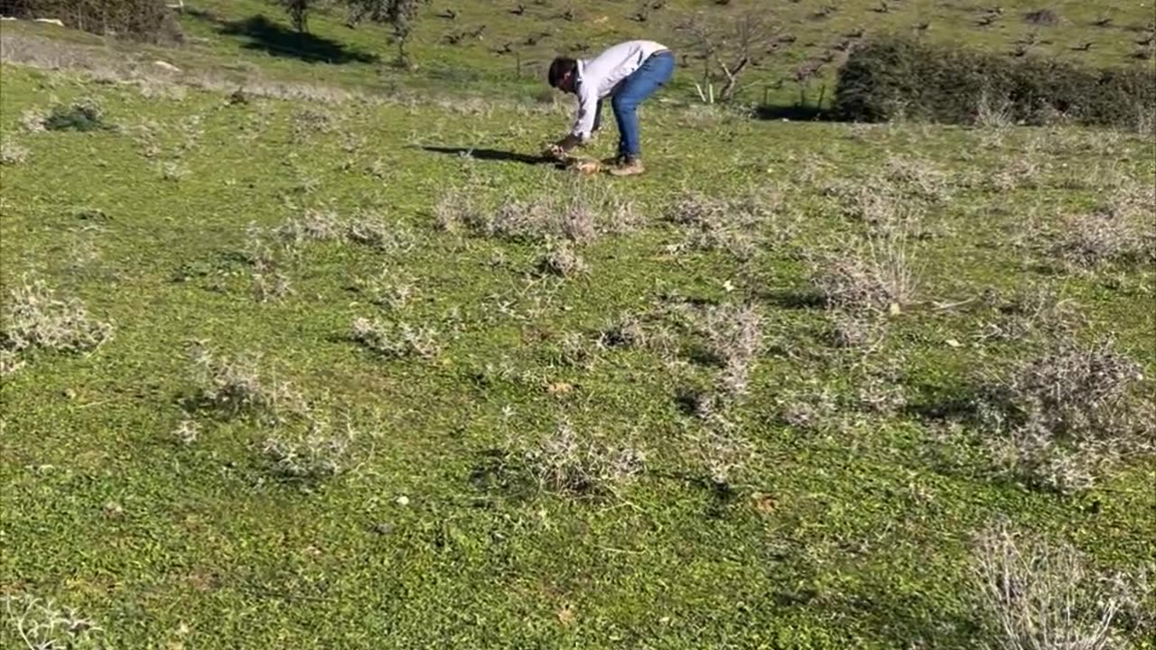 Guys Play With Pots And Firecracker