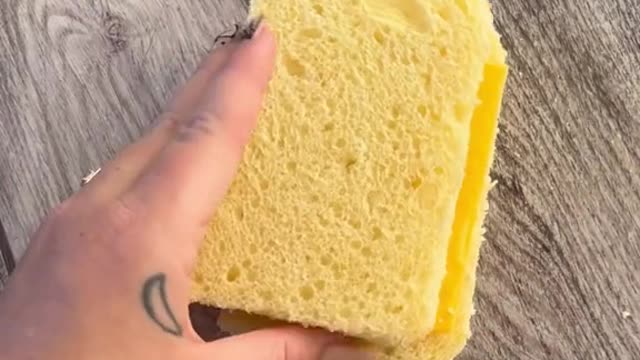FRENCH TOAST BUT MAKE IT CHEESY! 🧀 #cheese #frenchtoast