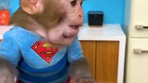 Baby Monkey working on him