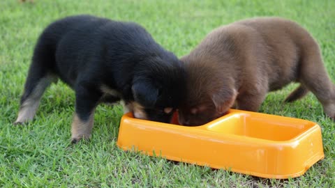 We make up. Let's have some milk together