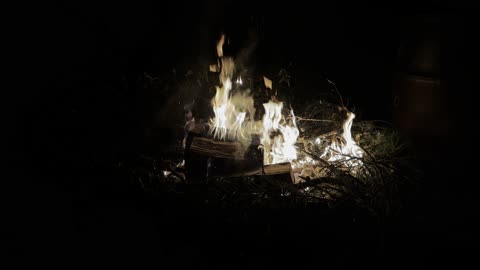Fire pit 03JUN24 3