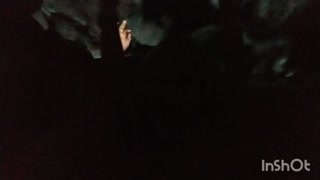 Trip Down Splash Mountain