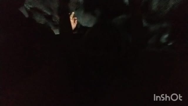 Trip Down Splash Mountain