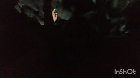 Trip Down Splash Mountain