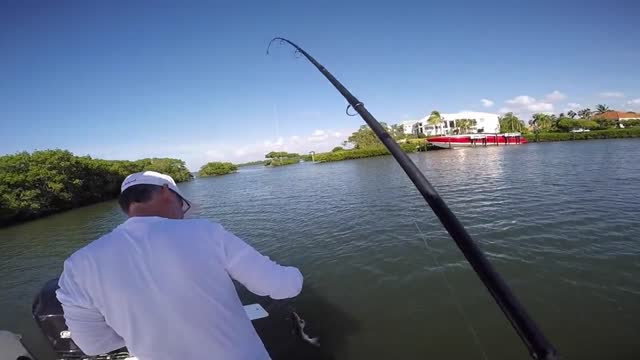 GoPro Fishing Florida