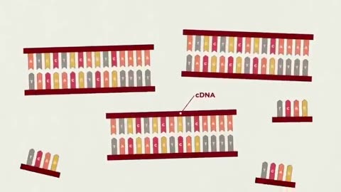 PCR Test Exposed By The Inventor