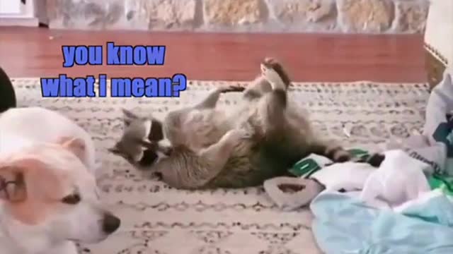 It’s the feet!
