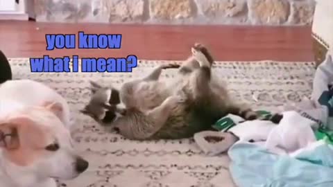 It’s the feet!