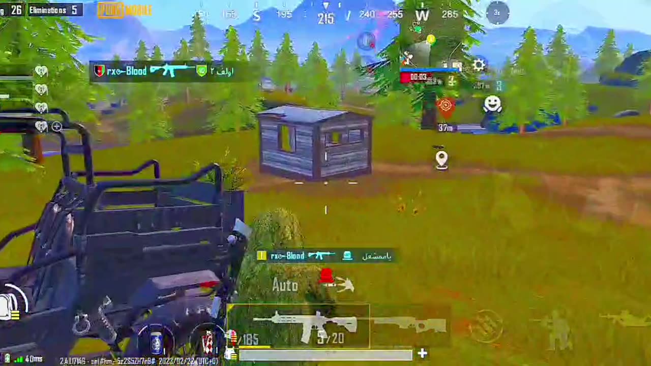 Nice killing