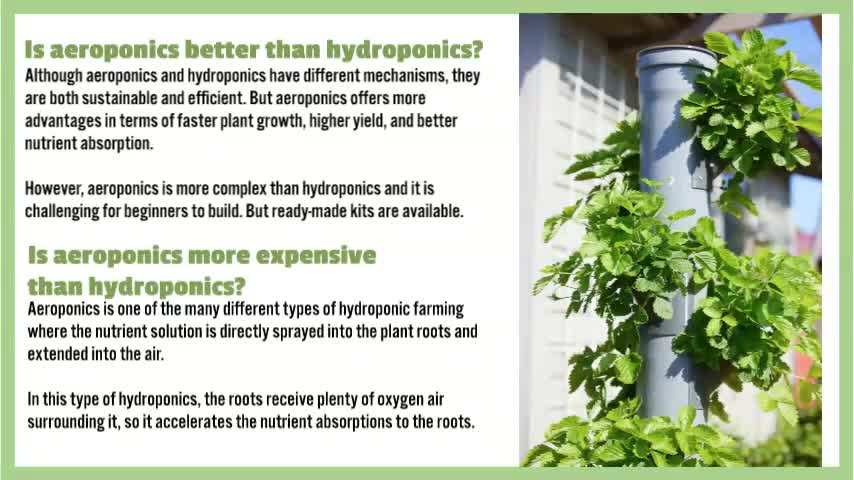 Hydroponic vs Aeroponic Gardening