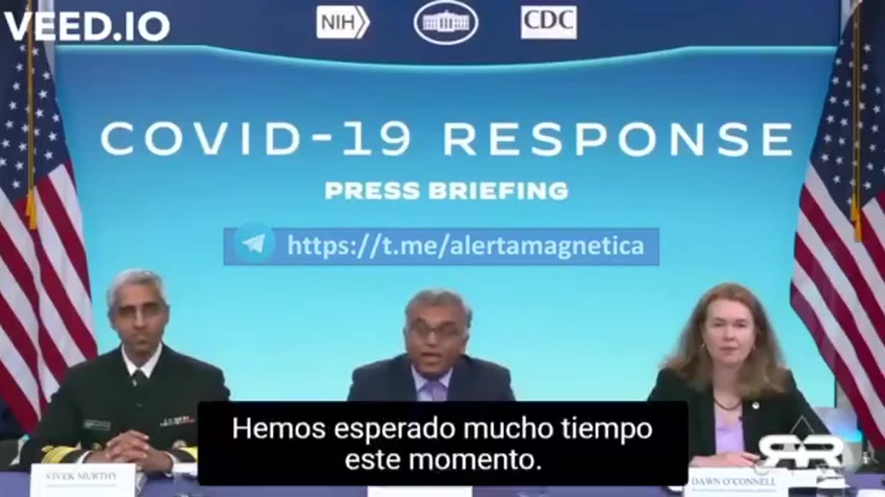 Sistema vascular del receptor ...