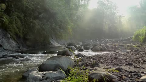 Small river and birds sounds EXTREMELY SOOTHING.