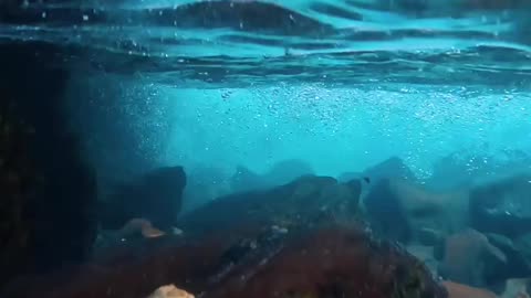 This may be the last time you see this river with its green mossy rocks