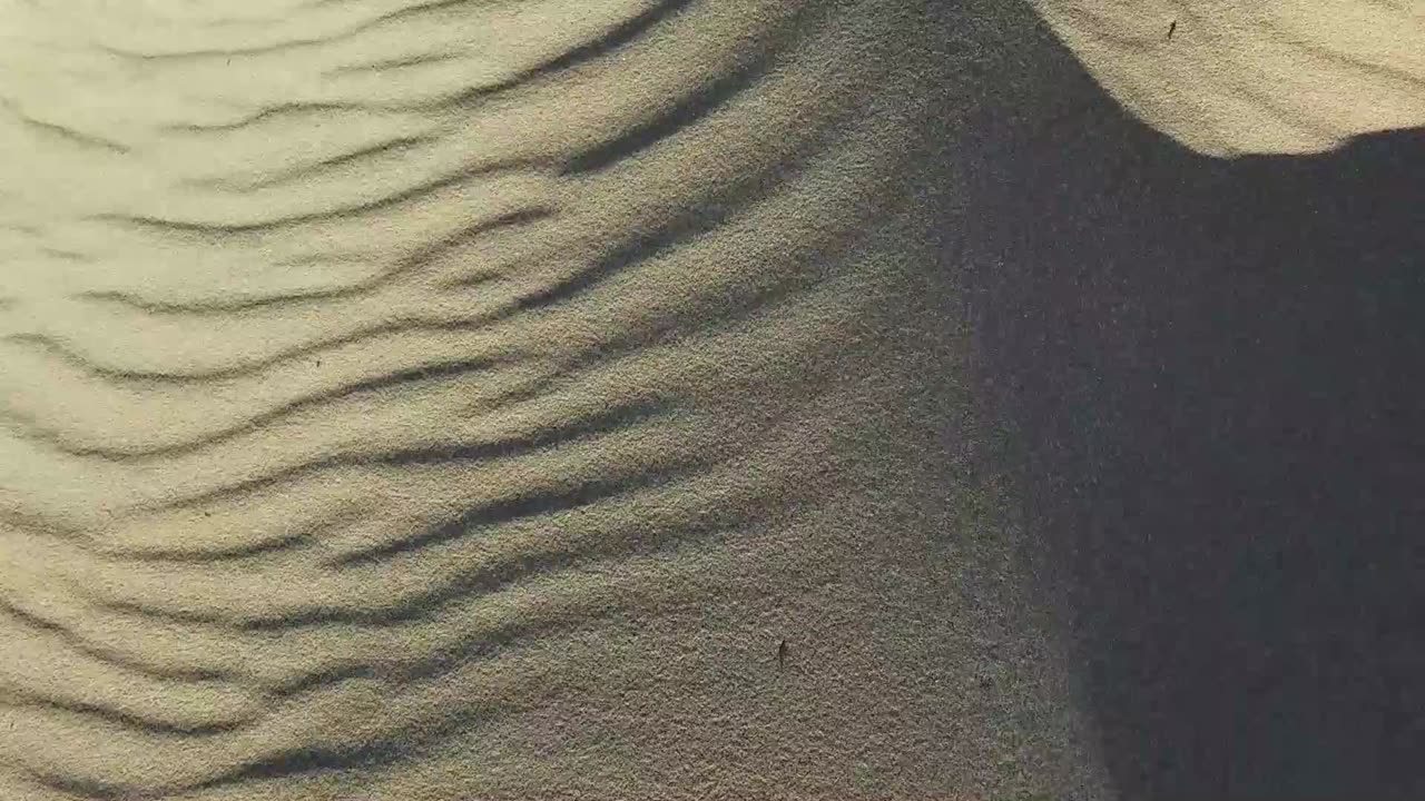 Winter at the Beach, Lake Michigan