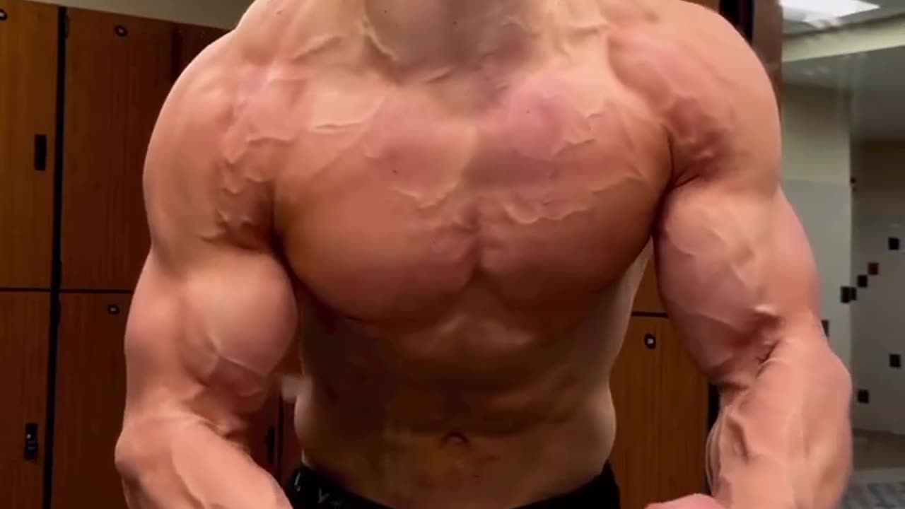 Gym boy gym exsaig op