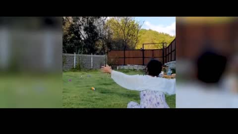 Funny animals comedy video