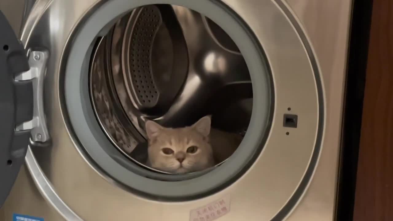 Now I know why our house is so hairy every time we do the laundry