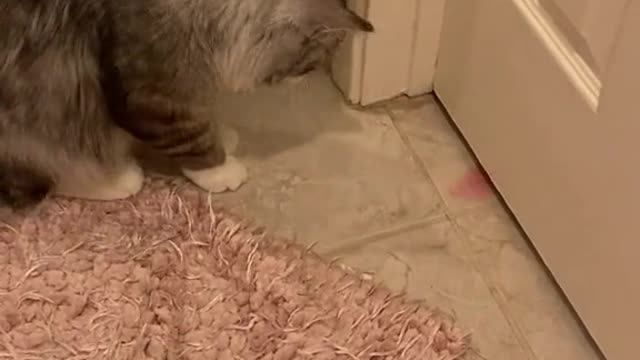 Play time! 😄 credit