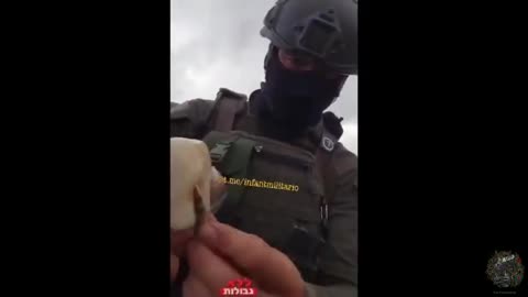 IDF rubbing bullets in pork fat