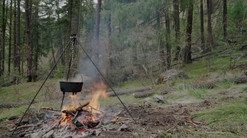 Rural Living at my Tiny Cabin!