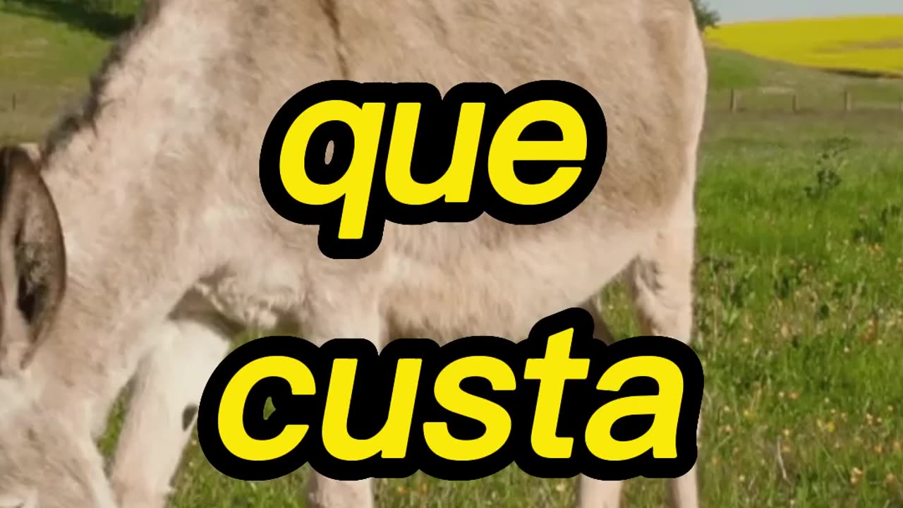 4 Fatos Interessantes Sobre Queijo!