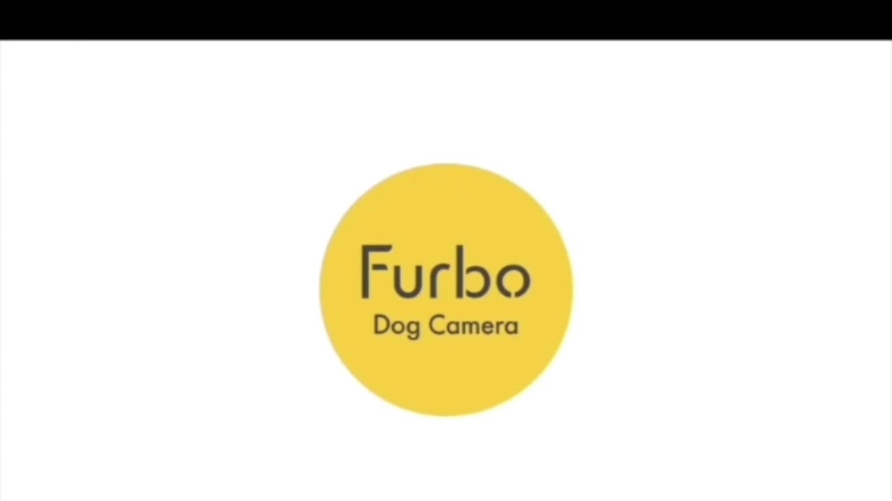 The best self-interactive remote control camera for dogs Furbo 360° Dog Camera