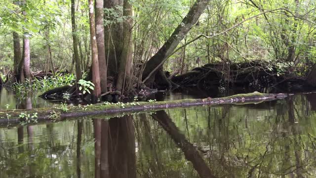 Hillsborough River