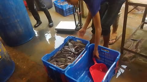 Bangladeshi fish market.