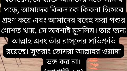 রাসুল (সাঃ)-এর সুপারিশ রয়েছে প্রত্যেক মুসলমানের জন্য