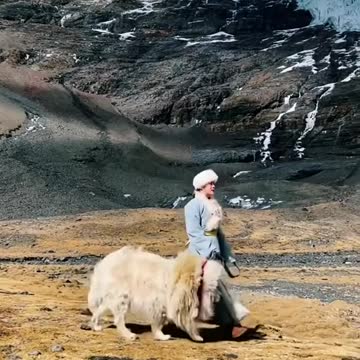 villager boy found guide dog to visit Mountains