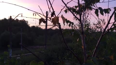 Warm autumn evening at station