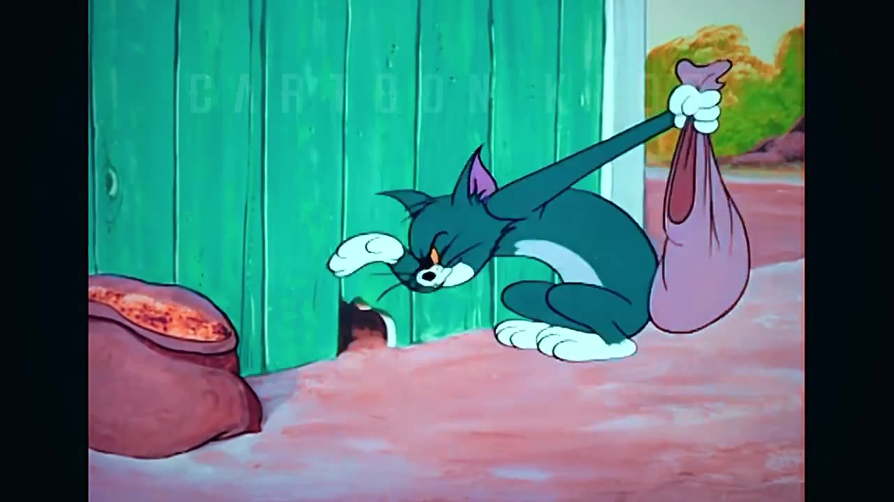 Tom and Jerry Best Funny Video 2023