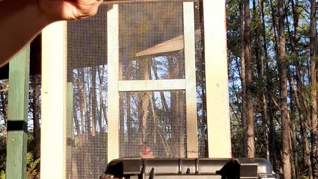 Taurus tx22 competition