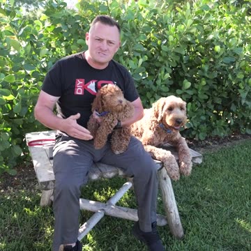 Stupid Message Monday From Jennifer the Doodle Hater