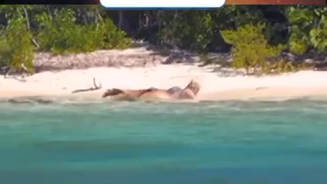 BOATMEN FILM MERMAID TAKING THE SUNBATH IN THE USA SEE THE VIDEO AND SHARE